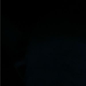 Meet your Posher, Zoey